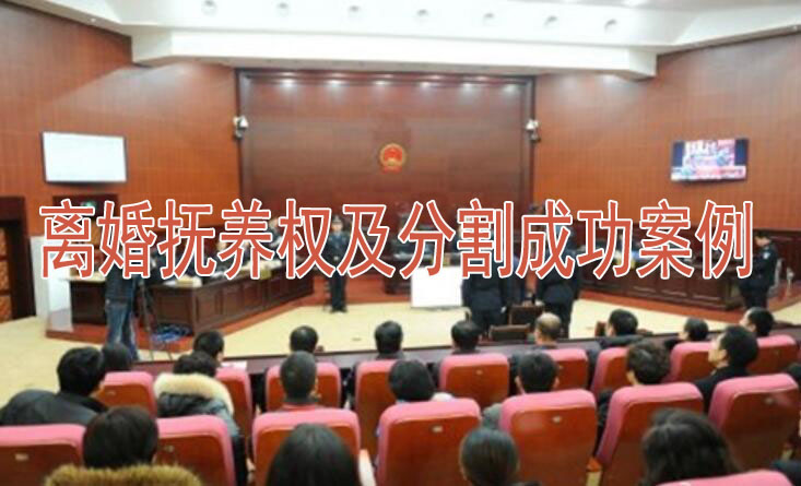 离婚抚养权及分割成功案例